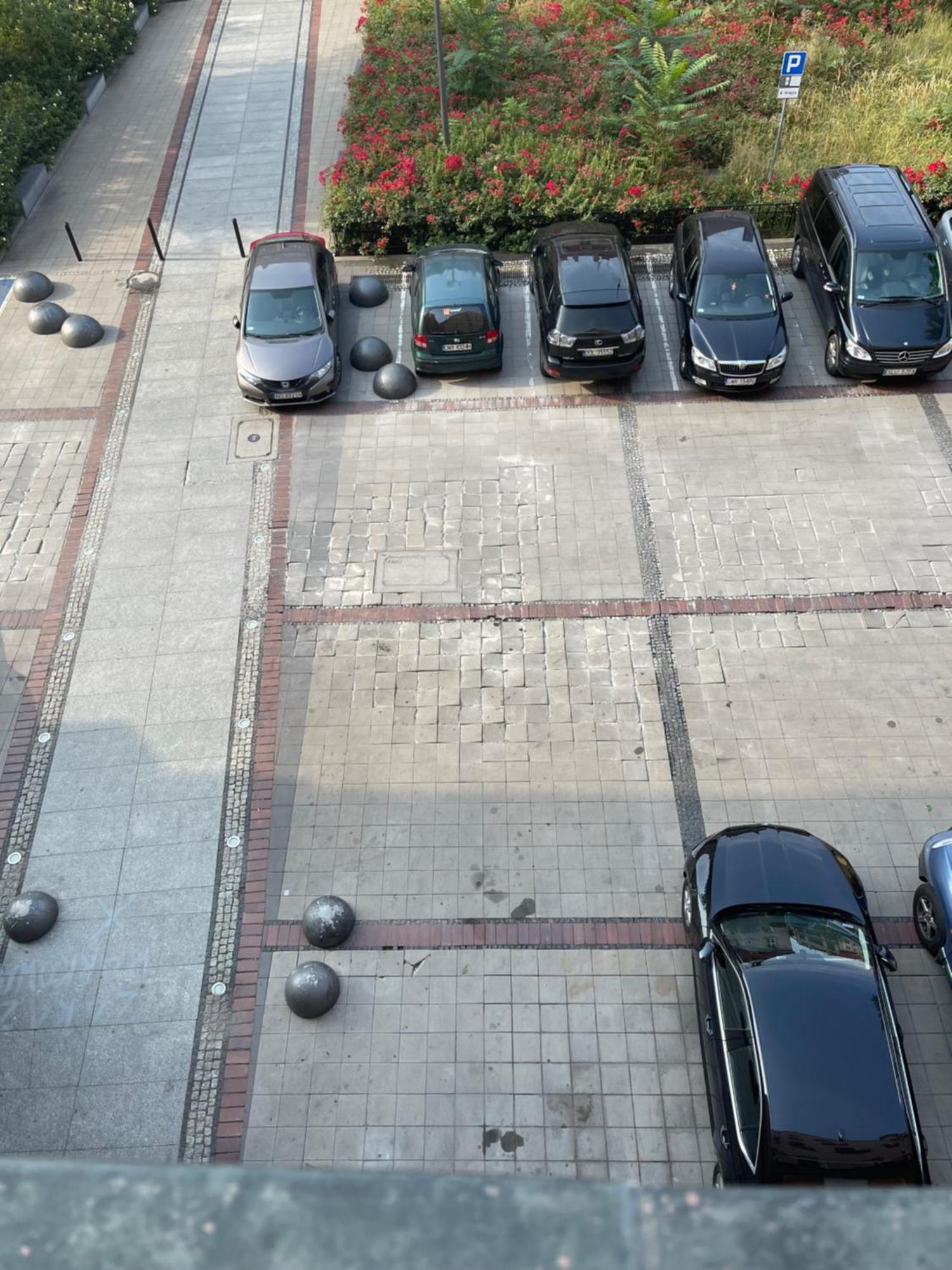 Apartamento Rynek Pod Fredra Breslavia Exterior foto